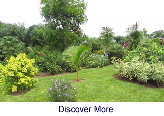 Affordable Budget Hotel Akosombo Garden Park Island 
